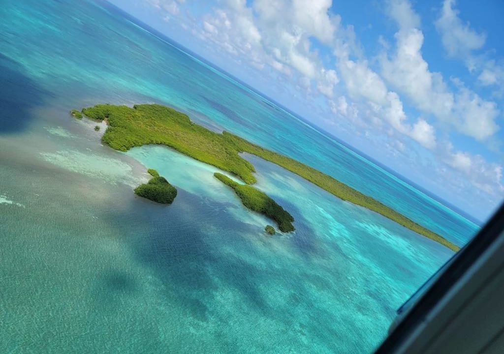 Crawl Caye Belize